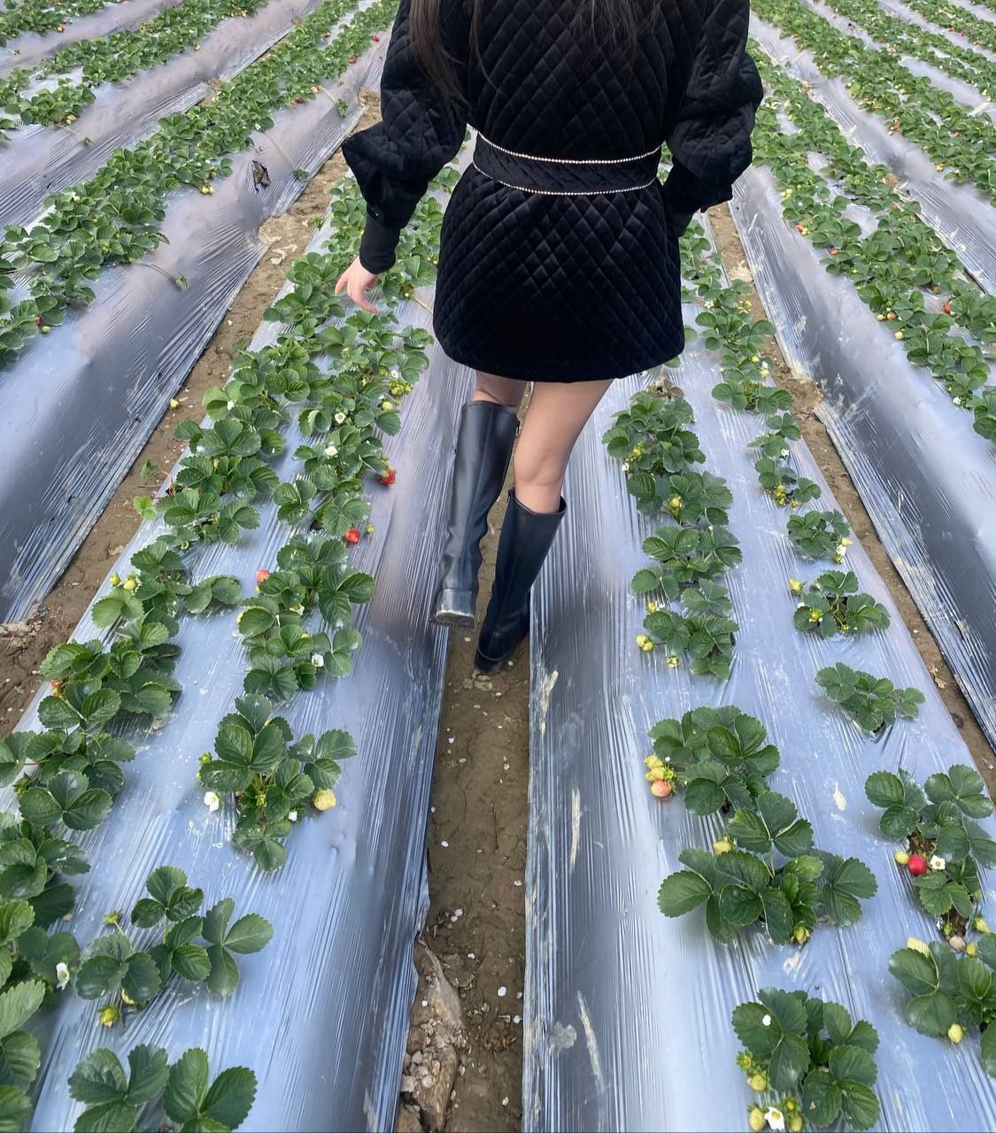 图片[6]-素人原创-约黑丝人妻酒店玩脚[6V]-尤妹社