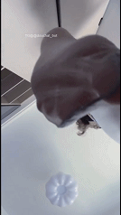 图片[2]-抖音极品女仆装之神小马漫漫微密圈资源[749P139V+36个压缩包]-尤妹社