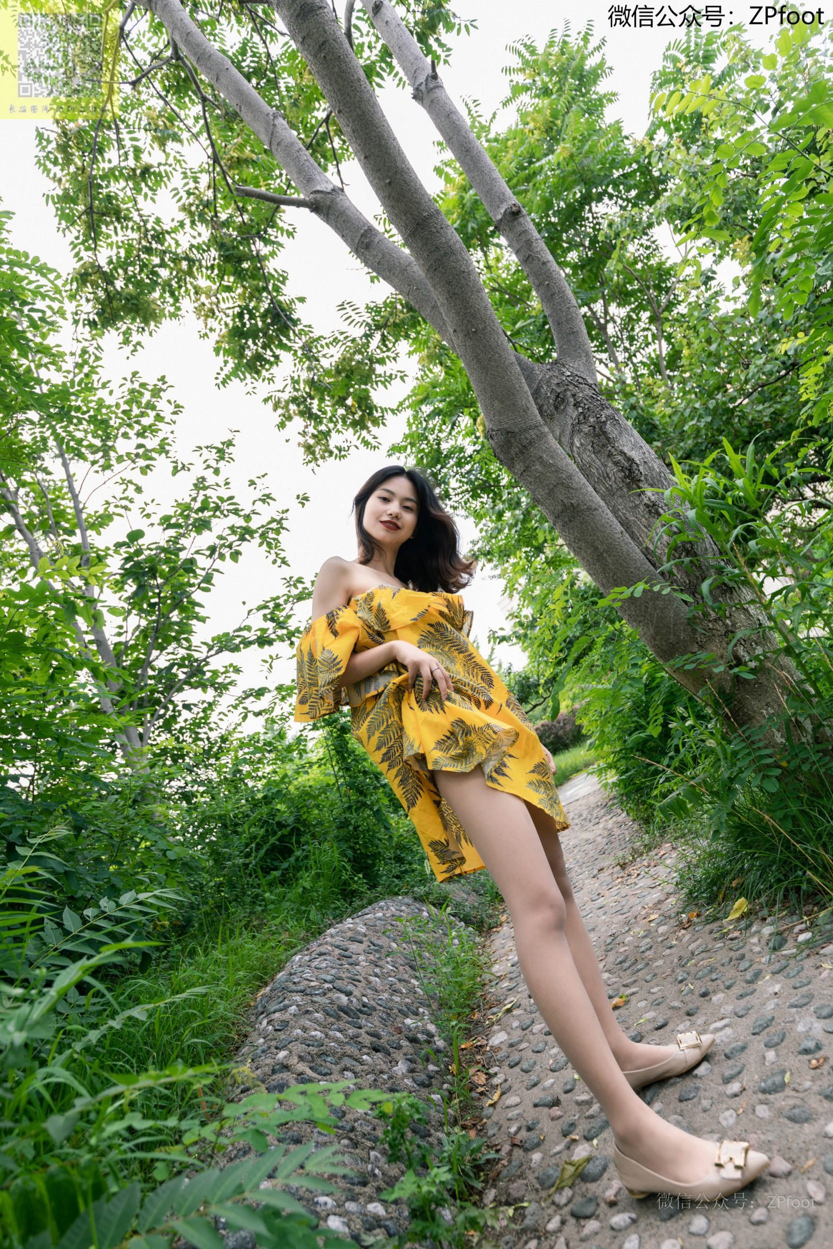 [合集]《山茶摄影 》全套作品340套，大小55.5G-尤妹社