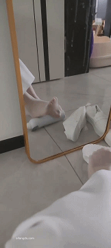 图片[19]-【重磅足拍】推特原创博主分享极品女友丝袜美足[221P396V]-尤妹社