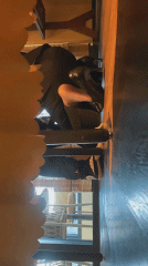 图片[12]-恋物癖大神【潜水员】爽玩各种丝袜骚脚射脚最全付费合集-尤妹社